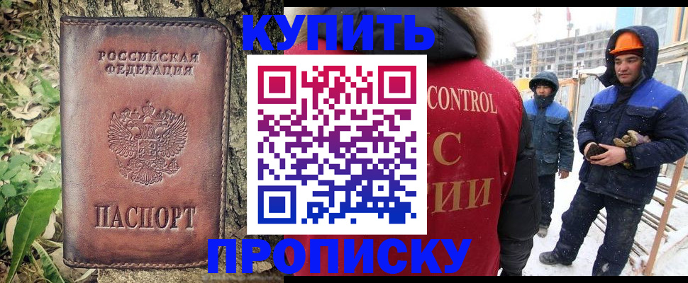 где прописаться в Дмитрове